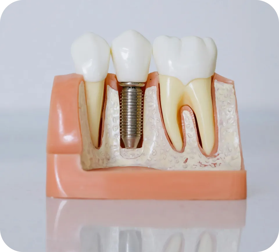 Westwood Dental Esthetics