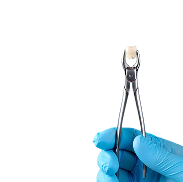 Westwood Dental Esthetics