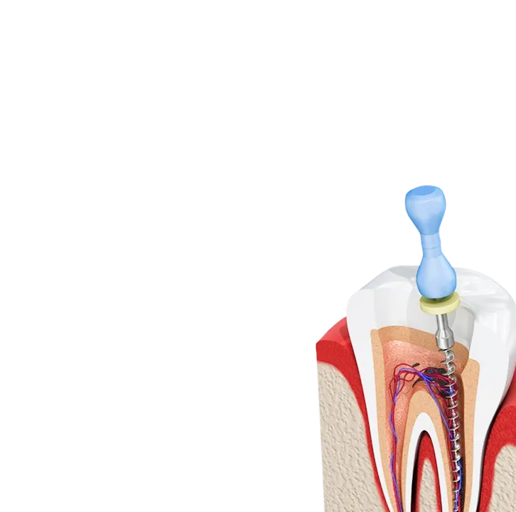 Westwood Dental Esthetics