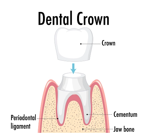 Westwood Dental Esthetics
