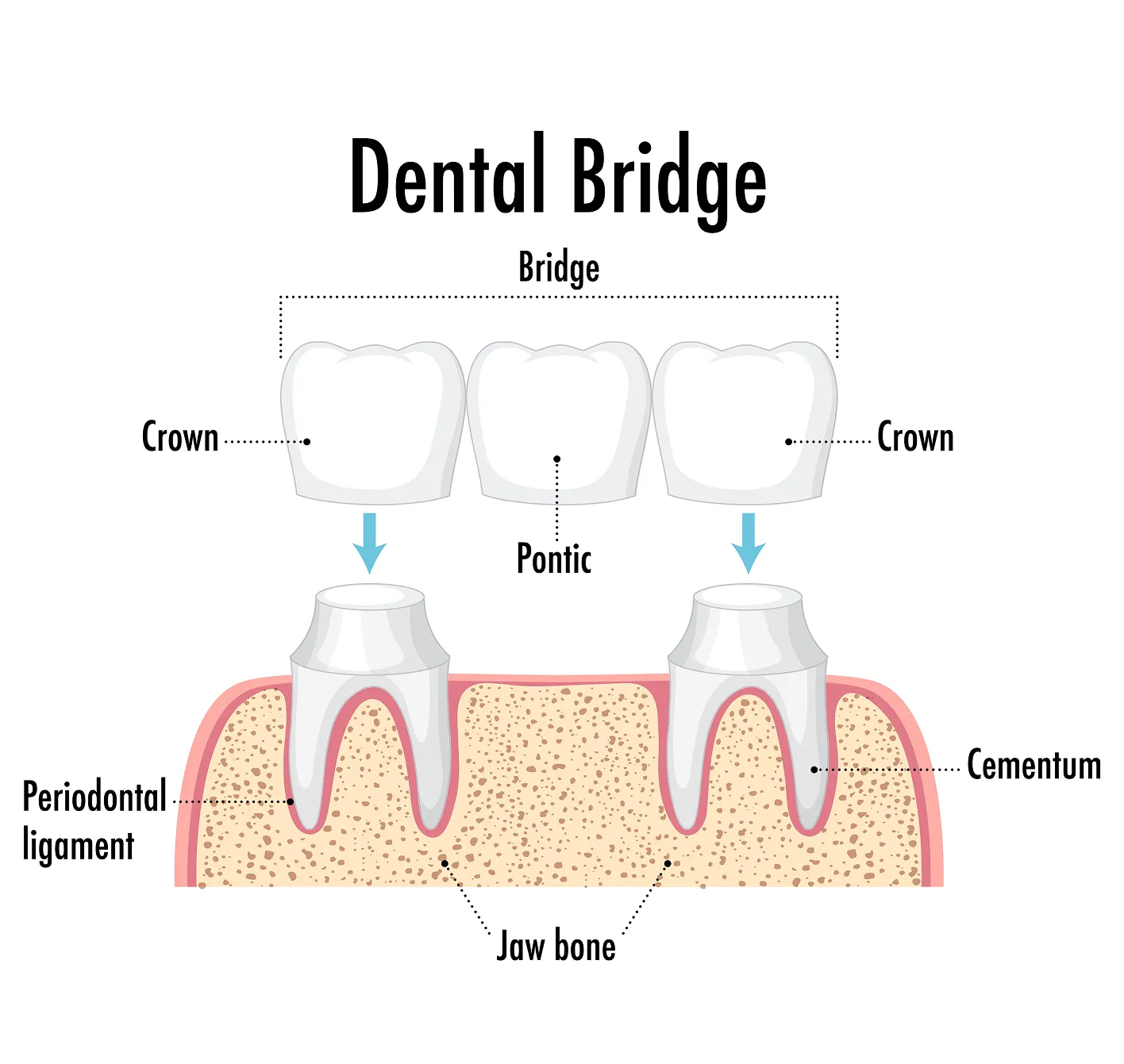 Westwood Dental Esthetics