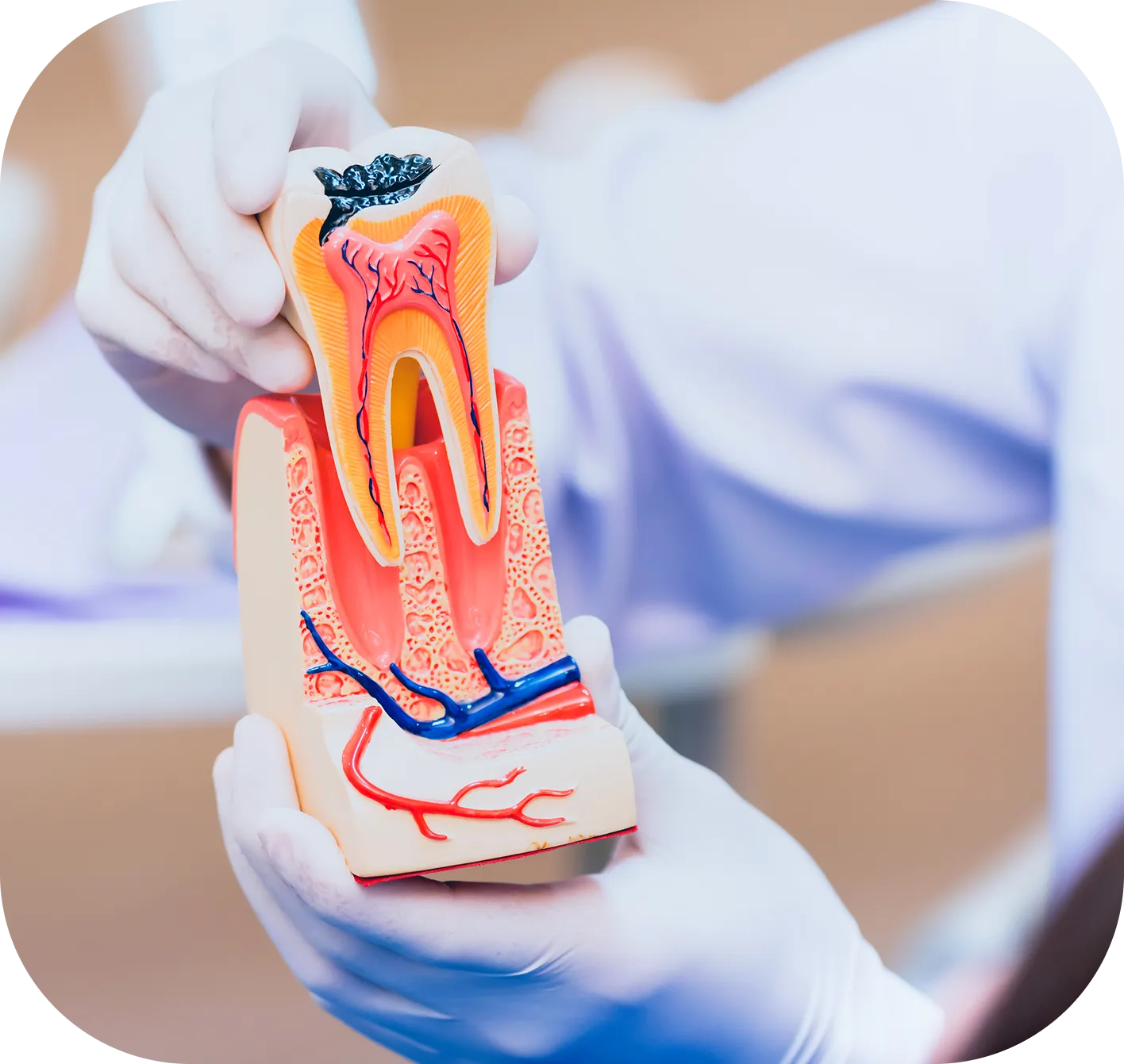 Westwood Dental Esthetics