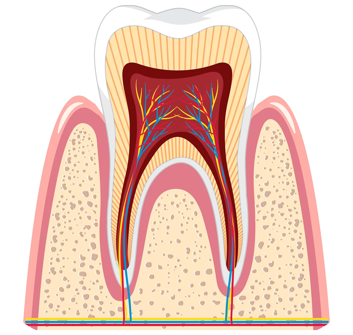 Westwood Dental Esthetics