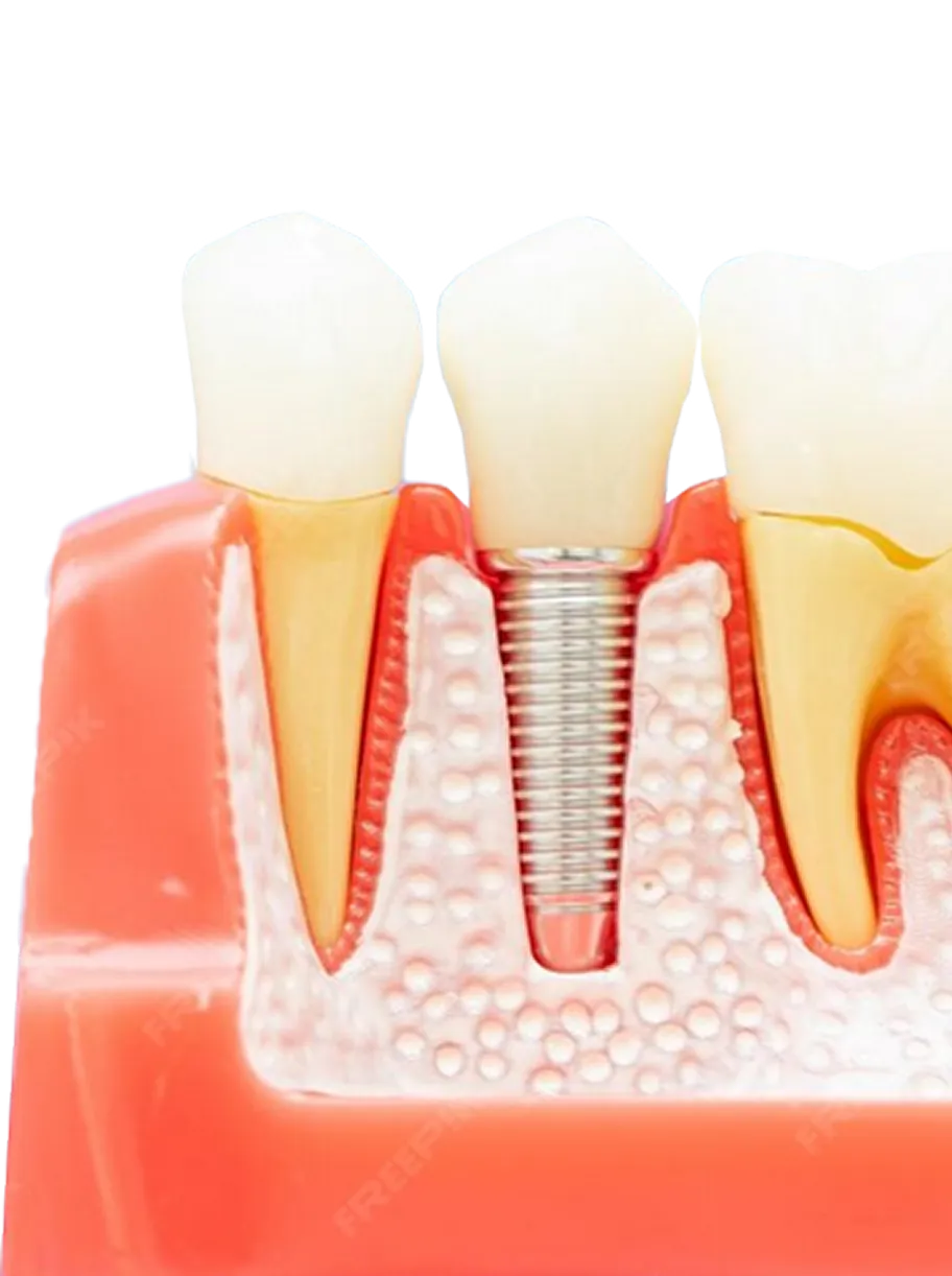 Westwood Dental Esthetics