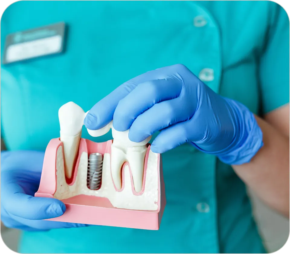 Westwood Dental Esthetics